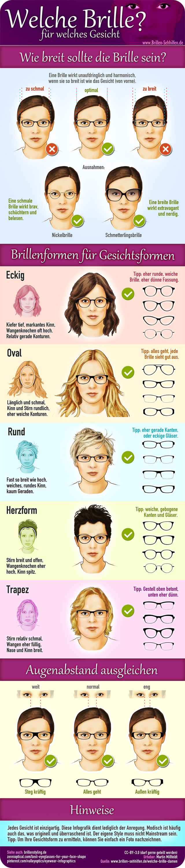 Welche Brille Infografik